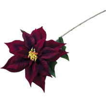 Dekorativní červená vánoční hvězda s stonkem a zelenými listy.