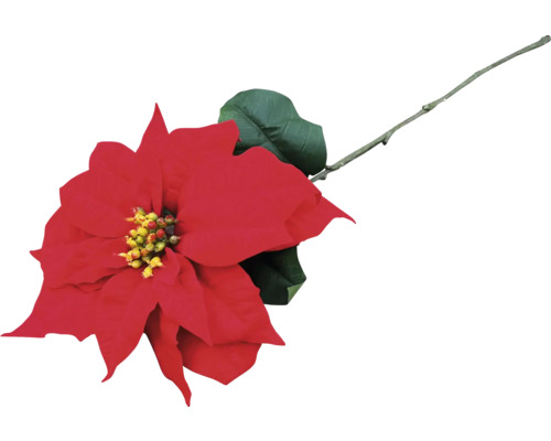 Umělá větev vánoční hvězdy 71 cm červená Červená vánoční hvězda s listem a stonkem