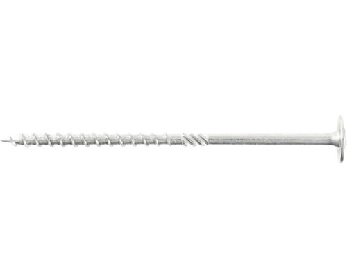 Vrut RAPI-TEC SK 10x100mm, plochá hlava T50, pozink 25 ks Detail dřevěného šroubu