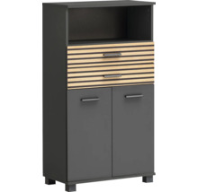 Skříň s otevřenou přihrádkou, dvěma zásuvkami a dvěma dvířky