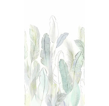 Ilustrace tropických listů pro dekoraci stěn