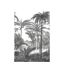 Tapeta s motivem palem