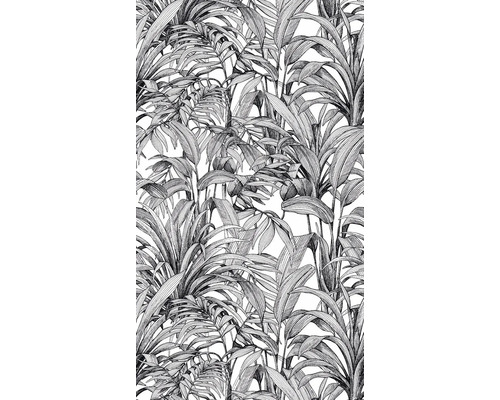 Černobílá tapeta s palmovým vzorem