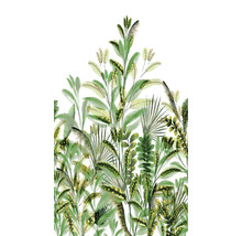 Ilustrace různých zelených rostlin