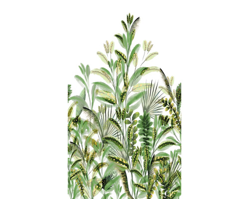 Ilustrace různých zelených rostlin