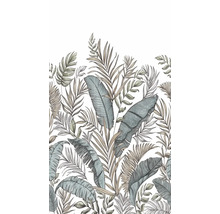 Ilustrace tropických listů