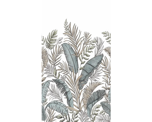 Ilustrace tropických listů