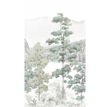 Tapeta s lesní krajinou a stromy