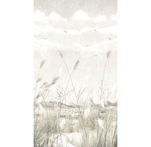 Tapeta s trávami, oblohou a ptáky