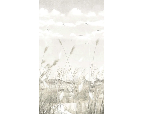 Tapeta s trávami, oblohou a ptáky