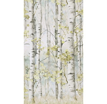 Tapeta s motivem březového lesa