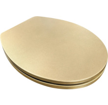 Záchodové prkénko form&style Metallic béžová s automatickým zavíráním -