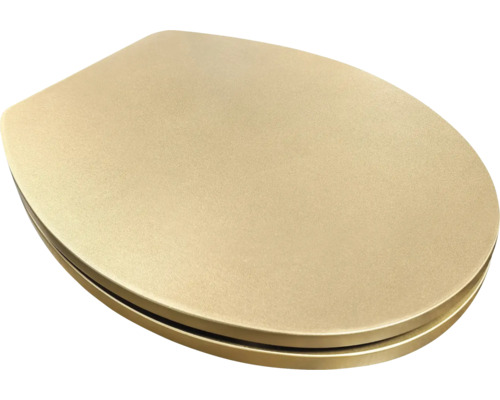 Plastové záchodové prkénko