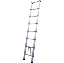 Stříbrný teleskopický žebřík