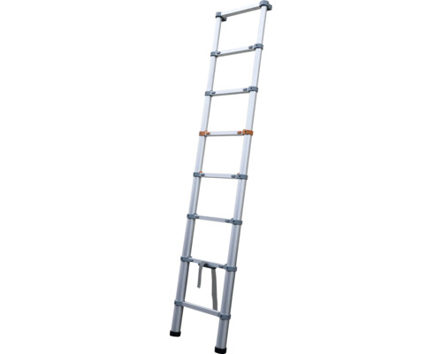 Stříbrný teleskopický žebřík