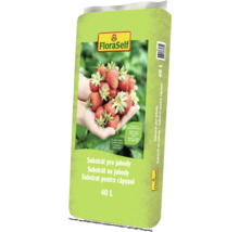 FloraSelf substrát pro jahody 40 litrů balení