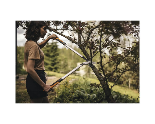 Žena stříhá strom pomocí pákových nůžek na větve