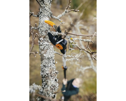 Nůžky na větve v akci při prořezávání stromu