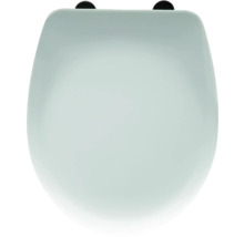 Toaletní sedátko ze sanitární keramiky