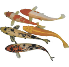 Pět koi kaprů z ptačí perspektivy