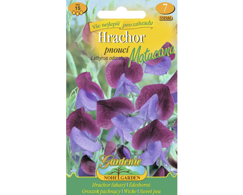 Hrachor vonný pnoucí Lathyrus odoratus MATUCANA fialovo-modrý