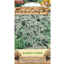 Balíček semen Limonium tataricum k sušení