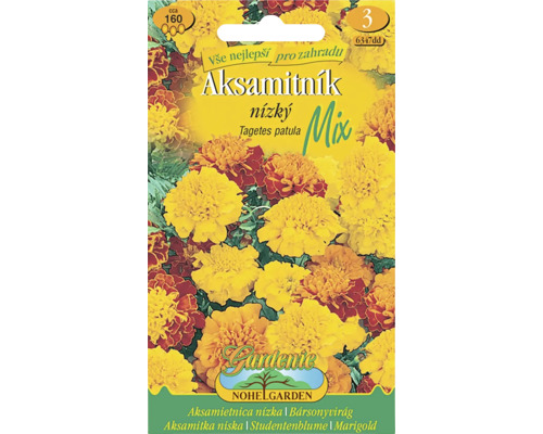 Aksamitník rozkladitý plnokvětý Tagetes patula směs semen