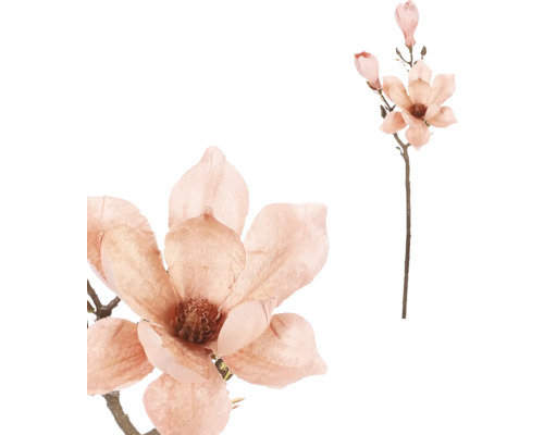 Větev s květy magnolie jako dekorace