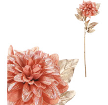 Okrasná jiřina se stonkem k dekoraci