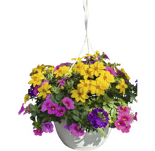 Poutpourri mix FloraSelf květináč Ø 35 cm