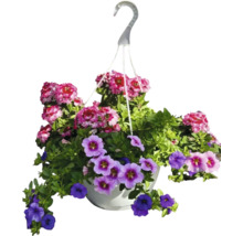 Poutpourri mix FloraSelf květináč Ø 35 cm
