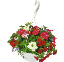 Poutpourri mix FloraSelf květináč Ø 35 cm