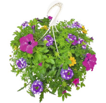 Poutpourri mix FloraSelf květináč Ø 35 cm