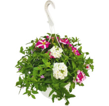 Poutpourri mix FloraSelf květináč Ø 35 cm