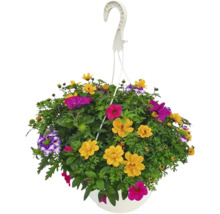 Poutpourri mix FloraSelf květináč Ø 35 cm