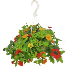 Poutpourri mix FloraSelf květináč Ø 35 cm