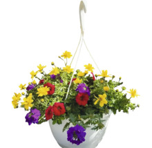 Poutpourri mix FloraSelf květináč Ø 35 cm