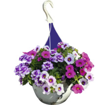 Poutpourri mix FloraSelf květináč Ø 35 cm