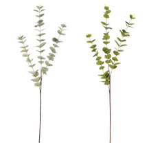 Dvě umělé eukalyptové větve