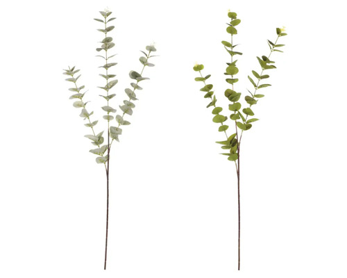 Dvě umělé eukalyptové větve