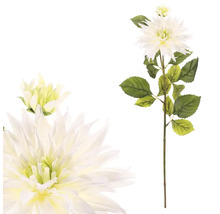 Dekorativní jiřina s květy a listy