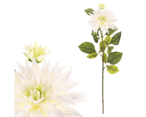 Dekorativní jiřina s květy a listy