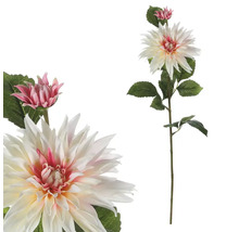 Dekorativní jiřina pro interiér