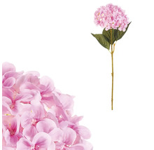 Dekorativní květ hortenzie na stonku