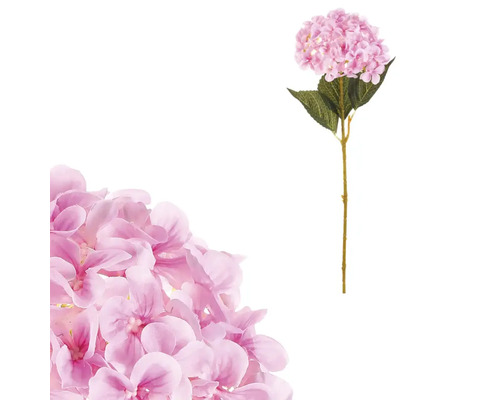 Dekorativní květ hortenzie na stonku