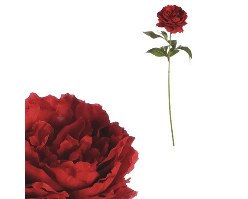 Umělá květina pivoňka červená 65 cm Umělá červená pivoňka s stonkem