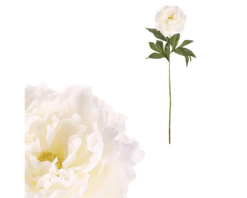 Dekorativní pivoňka na stonku