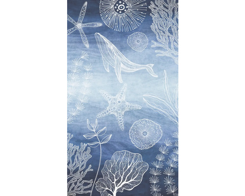 Vliesová fototapeta Lilly & Luis 77060-1 Uni 159 x 280 cm Grafika s velrybami, hvězdicemi a řasami na modrém pozadí