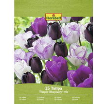 Směs tulipánů FloraSelf Purple Rhapsody, balení 15 kusů