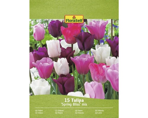FloraSelf Tulipa Spring Bliss Mix, balení 15 kusů